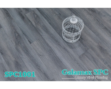 Galamax SPC  4mm 1001