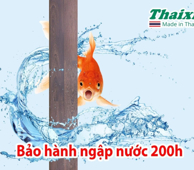 Thailand 8mm