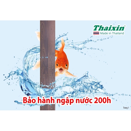 THAIXIN – VF1067