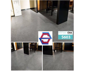MSFloor  S603