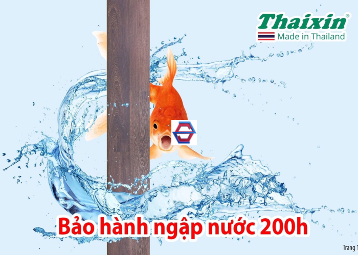 THAIXIN – VF20649