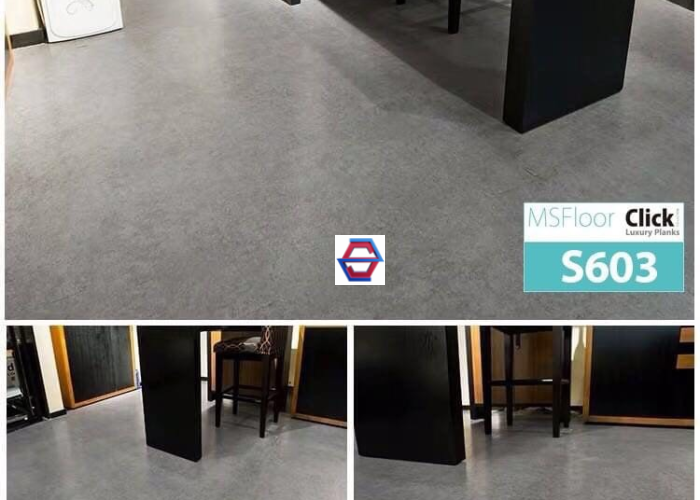 MSFloor  S603