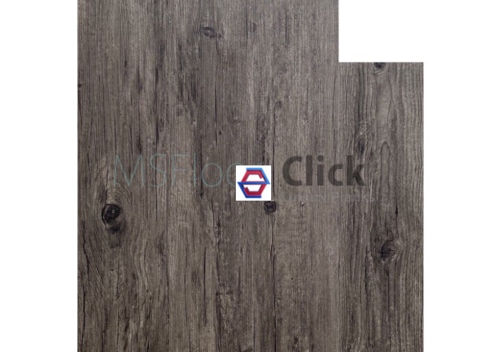 MSFloor  W509